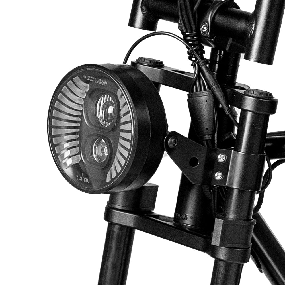 Blazer Fat tyre electric bike