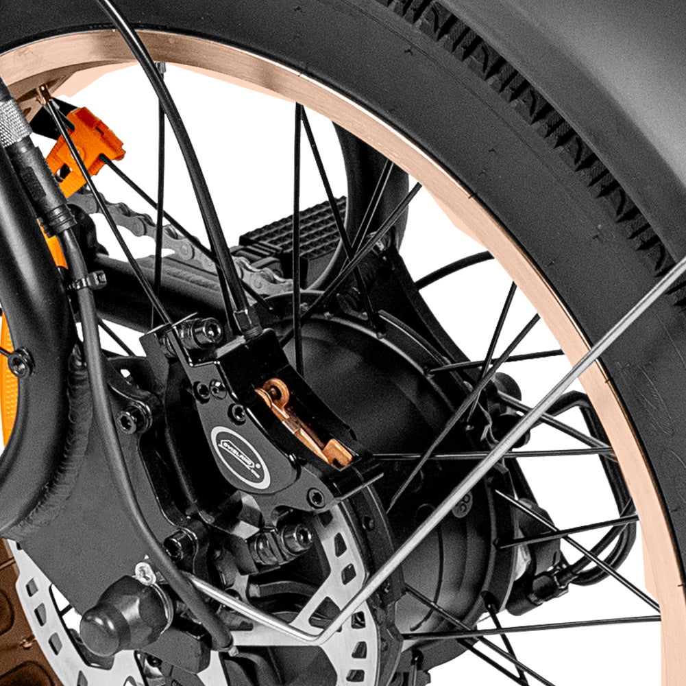 Blazer Fat tyre electric bike