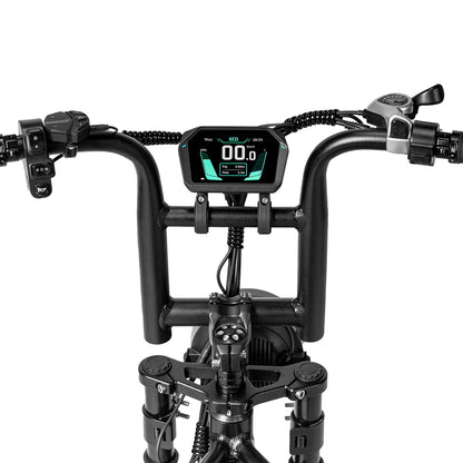 Blazer Fat tyre electric bike