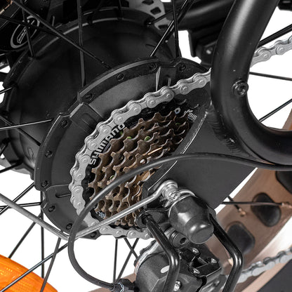 Blazer Fat tyre electric bike