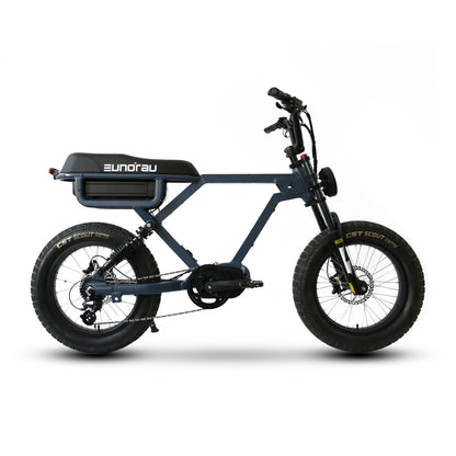 Eunorau Flash Electric Bike [Lunar Dust/Moon Black]